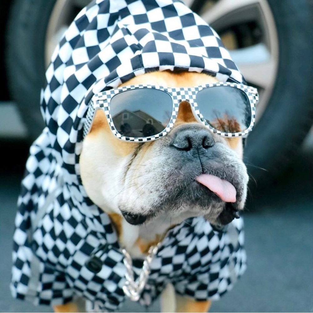 NWT designer dog raincoat